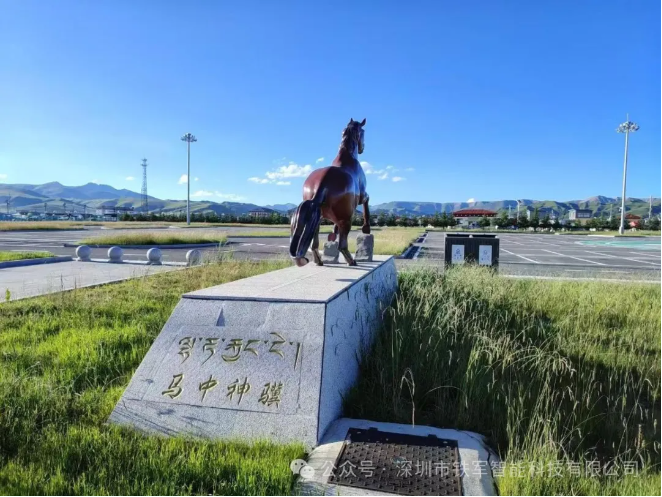 九色甘南格薩爾夏季“蔣朵杯”賽馬會(huì)-啟用鐵軍閘機(jī)!